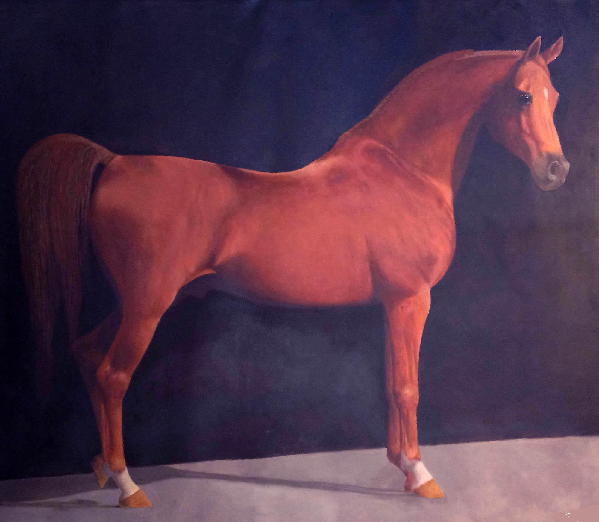 02 Sanadik Ibn Estopa, Stallone arabo, Oil on canvas, cm 2200x2700