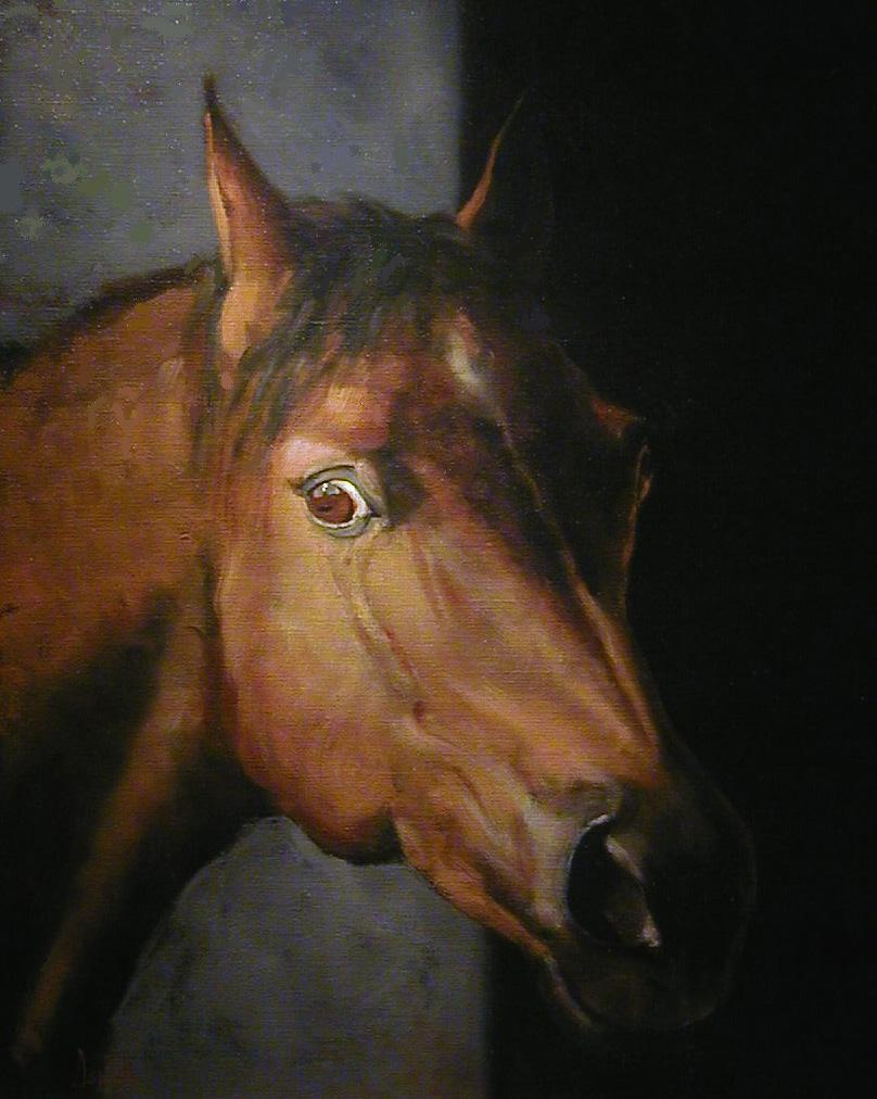 01 Stallone arabo, Oil on canvas, cm 50x70