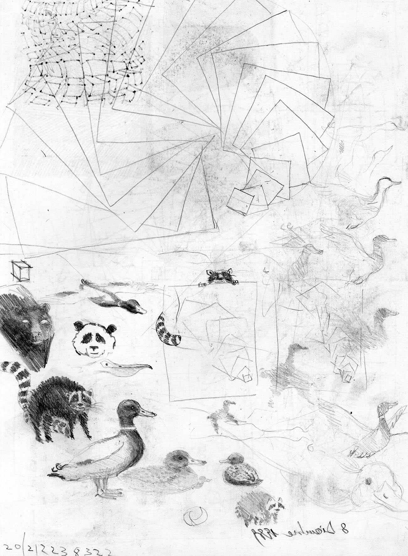 26 Progetto 26, Pencil on paper