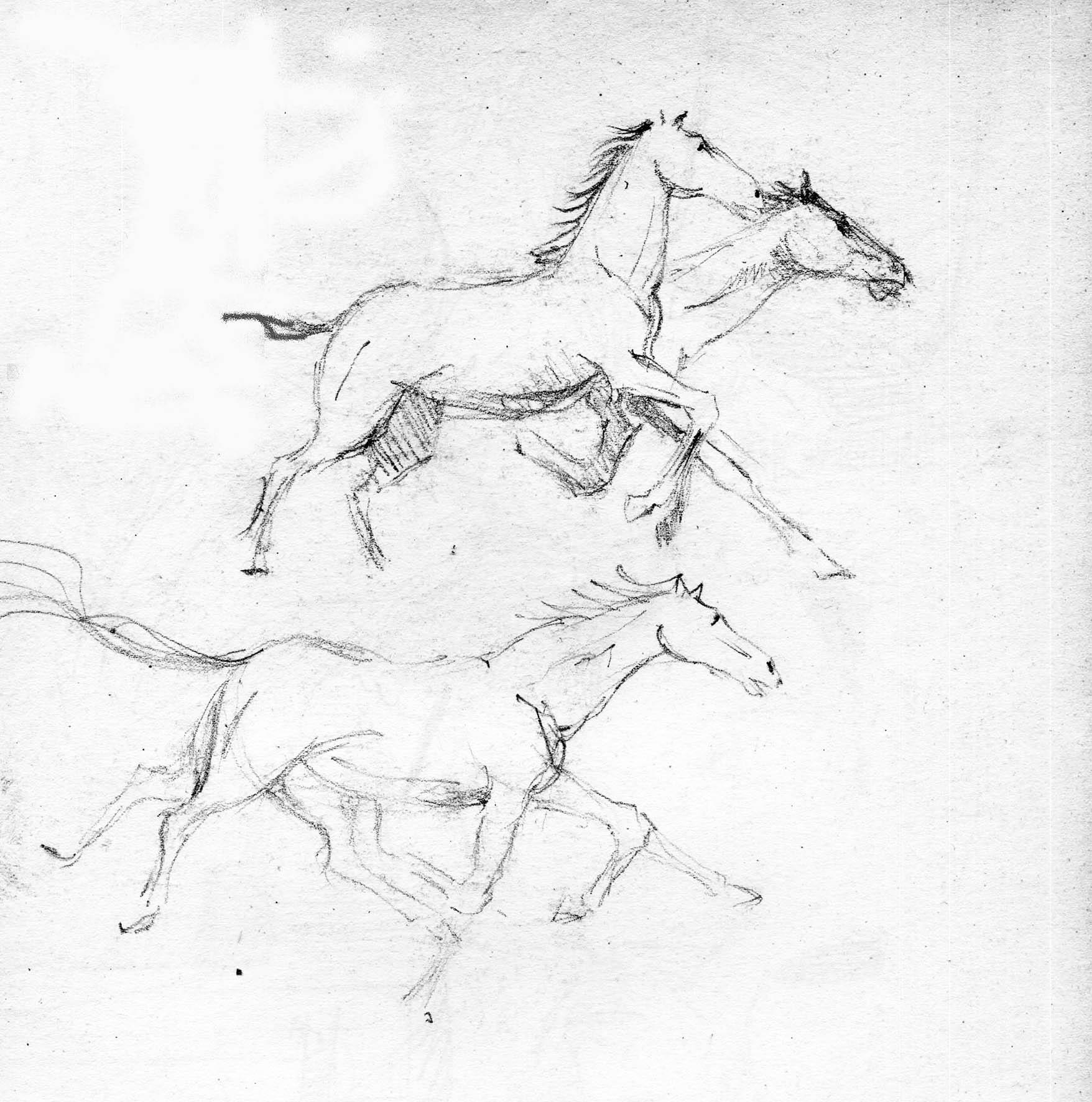 Cavalli in corsa, Pencil on  paper