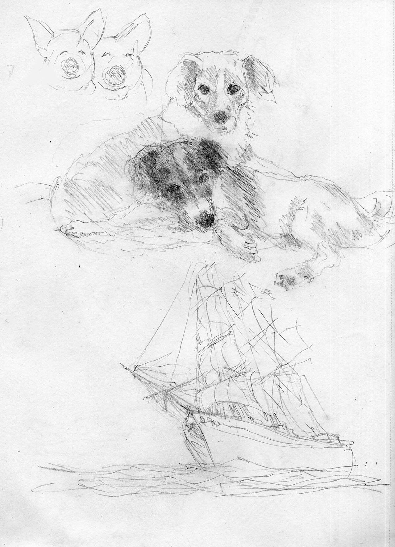 Cani Veliero e maiali, Pencil on paper